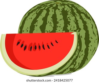 Watermelon is fresh and suitable for consumption in hot weather because it contains so much water, graphic vector illustration