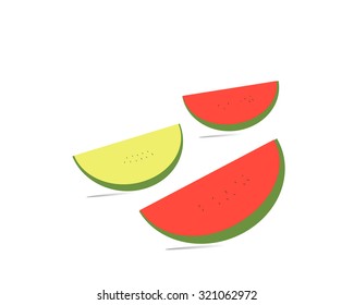 watermelon fruit background white drawings isolation.
