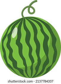 Watermelon Fruit Cute Flat Illustration