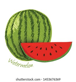 Watermelon, fruit doodle drawings vector illustration.