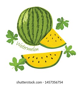 Watermelon, fruit doodle drawings vector illustration.