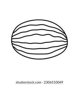 Watermelon fruit in doodle hand drawn style. vector illustrations isolated on white background.