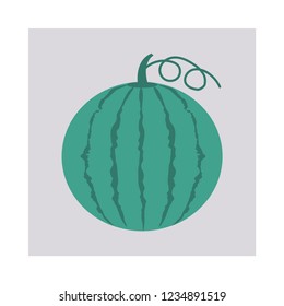 watermelon   fruit   food  