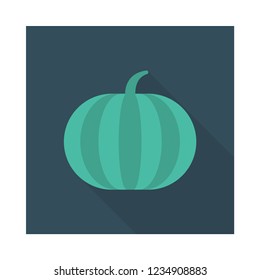 watermelon   fruit   food 