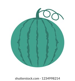watermelon   fruit   food  