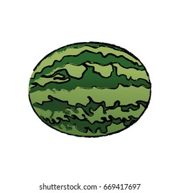 watermelon fruit fresh harvest nutrition food