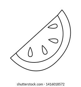 watermelon fruit fresh vector ilustration