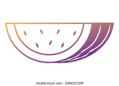 watermelon fruit icon