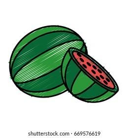 watermelon fruit icon