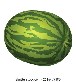 Vector de dibujos animados de los iconos de la sandía. La comida de verano. Fruto de la naturaleza