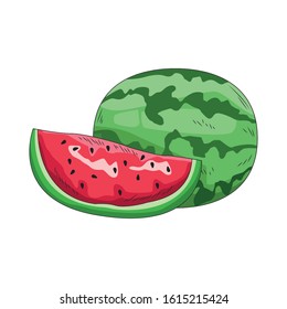 watermelon fruit icon over white background, vector illustration