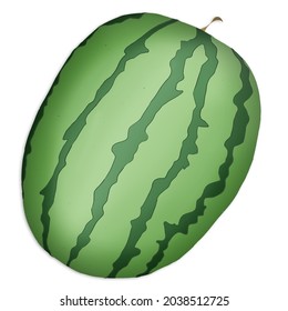 Watermelon fruit icon vector illustration isolated in a white background
