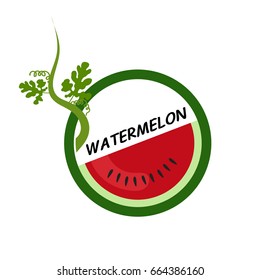 Watermelon fruit icons flat style, Vector Illustration on white background.