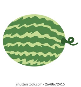 Watermelon fruit illustration in flat style