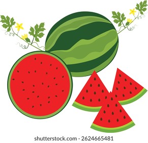 Watermelon fruit illustration vector design