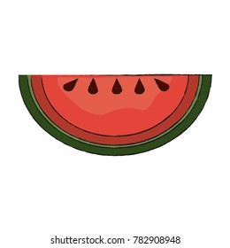 Watermelon fruit isolated