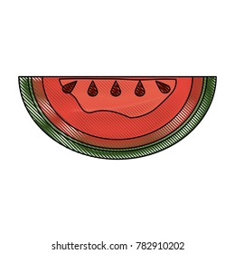 Watermelon fruit isolated