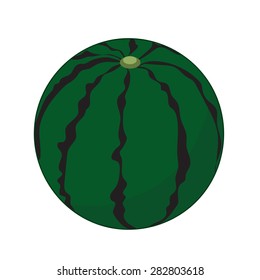 Watermelon Fruit isolated illustration on white background