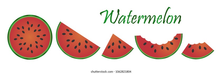 Watermelon fruit isolated on white background. Vector Illustration. Perfect for your design project.