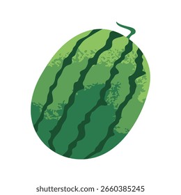 Watermelon fruit isolated on white background. Cartoon fruit. Vector illustration