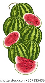 Watermelon fruit isolated on white background. Close up watermelon slice with green leaves ripe fruit.