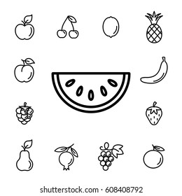 watermelon fruit with leaf line icons set black on white