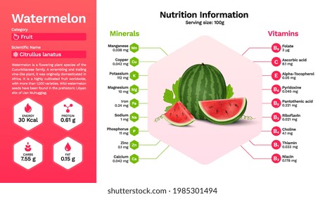 Watermelon fruit and its nutritional properties -Vector illustration