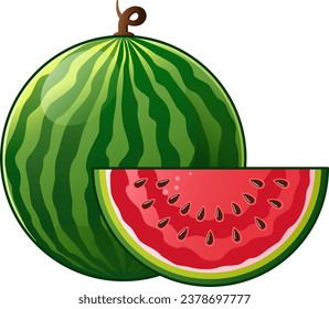 watermelon fruit premium vector illustration