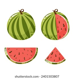 Watermelon fruit set, vector illustration. Slices and whole summer tropical fruit or berry, graphic design elements. Cartoon flat style