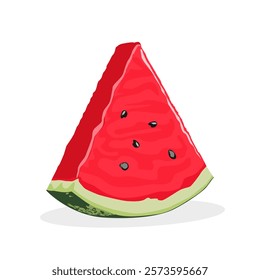 Watermelon fruit slice or cross section with seeds Illustration Vector Isolated on White.