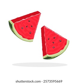 Watermelon fruit slice or cross section with seeds Illustration Vector Isolated on White.