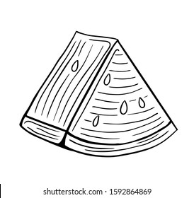 watermelon fruit slice hand drawn engraved sketch drawing vector illustration