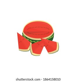 Watermelon Fruit Slice and pieces Illustration