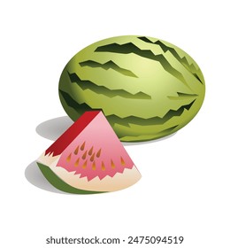 Watermelon Fruit and Fruit Slice Vector Illustration