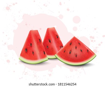 Watermelon Fruit Slices Vector illustration isolated on white background