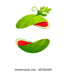 Watermelon fruit sphere with green leaf logo, volume icon design template element