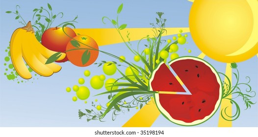 Watermelon and fruit. Summer background for banner. Vector