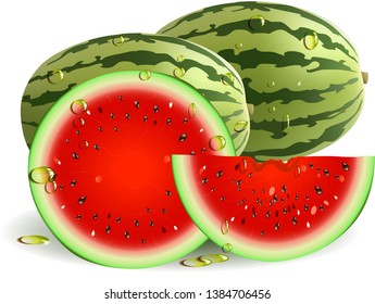 Watermelon Fruit Vector background fruit