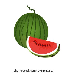 watermelon fruit vector, green and red, white background