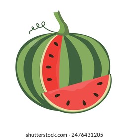 Watermelon fruit vector illustration, isolated on white background