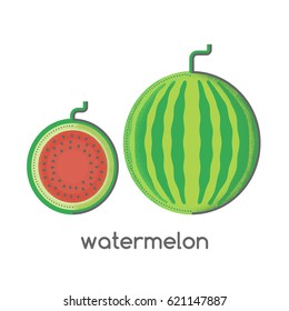 Watermelon, fruit vector illustration isolated on white background