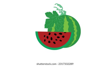 Watermelon fruit vector illustration on white background