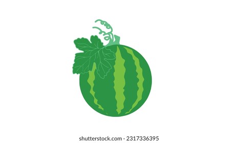 Ilustración vectorial de fruto de la sandía sobre fondo blanco.