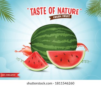 Watermelon fruit vector illustration with watermelon pieces