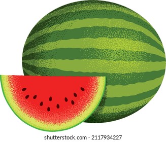 Watermelon fruit vector illustration for printing on posters, books, flyers, menu, stickers, mugs, textiles, tote bags.