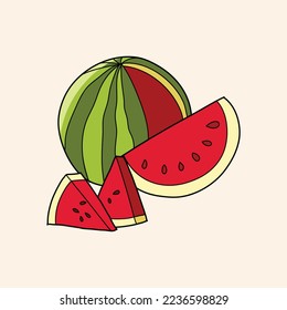 watermelon fruit vector illustration vegetable