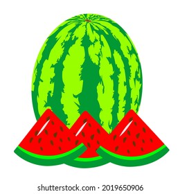 Watermelon fruit vector image for merchandise banner logo or children's book