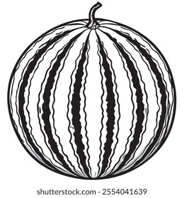 Watermelon Fruit vector silhoutte Watermelon line art