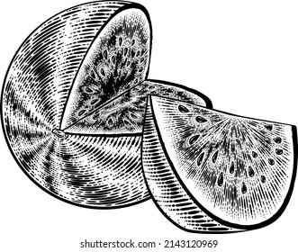 A watermelon fruit in a vintage woodcut engraved etching style drawing