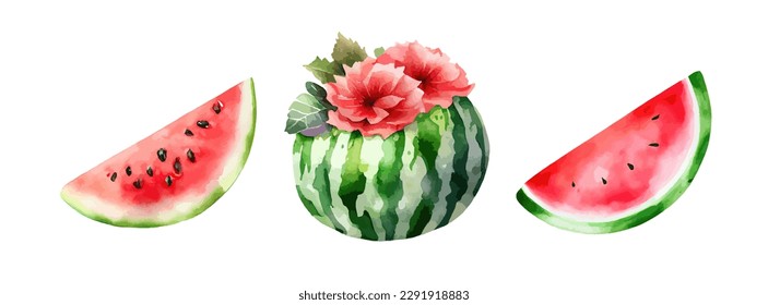 Watermelon fruit watercolor collection. Set of fresh watermelon painted isolated on white background. Healthy watermelon vector illustration